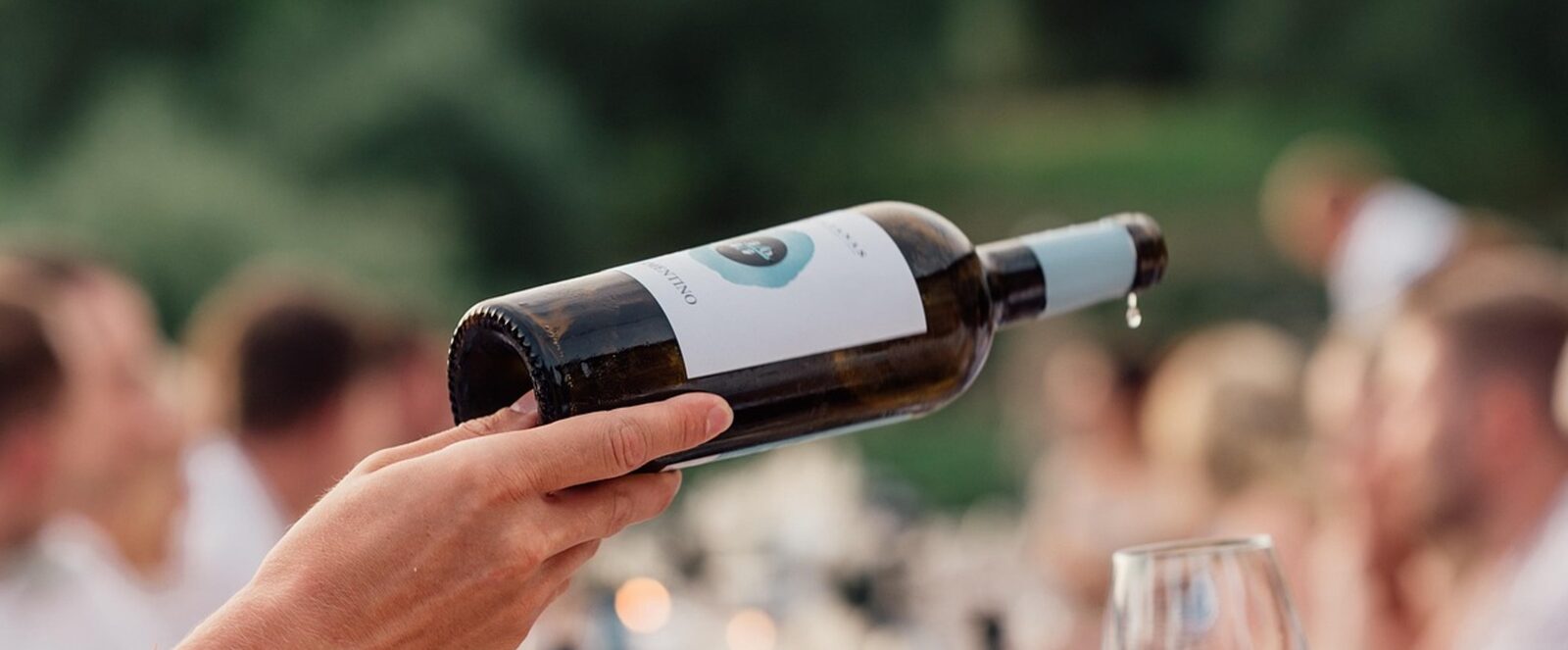 Brindis con vino en una celebración al aire libre